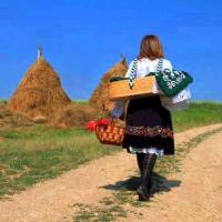 Hercegovački običaji i tradicija